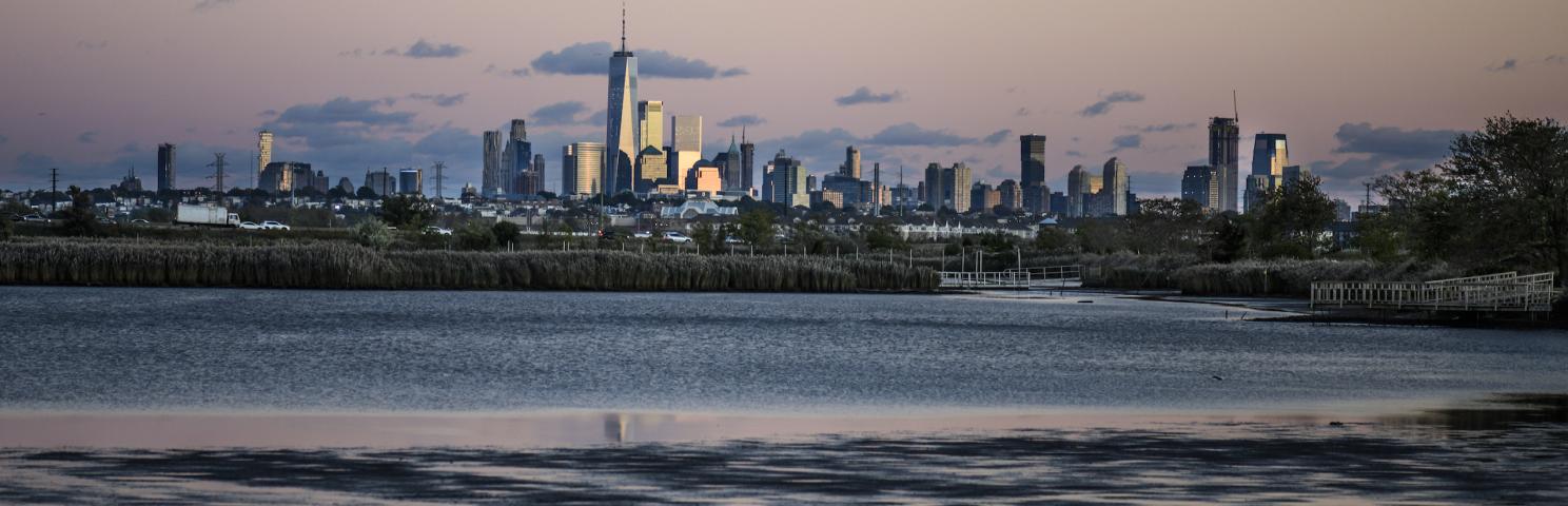 New York from the marshes around the Hackensack River in New Jersey